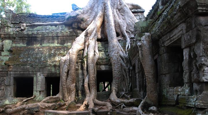 Neue Untersuchungen: In Angkor in Kambodscha lebten einst bis zu 900.000 Menschen (Bild: gemeinfrei)