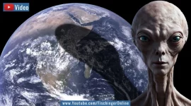 Erster Alien-Kontakt: "Globale" Umfrage zu außerirdischer Intelligenz an die "ganze" Menschheit gestartet (Bilder: gemeinfrei / Montage: Fischinger)